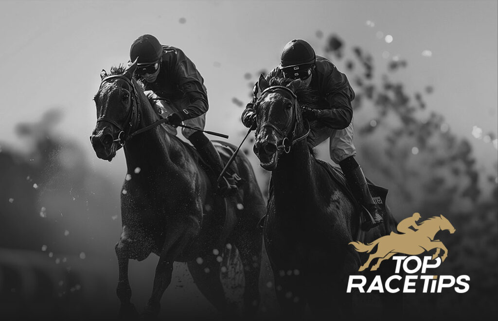 Top 10 Closest Finishes in High-Value Stakes - Top Race Tips