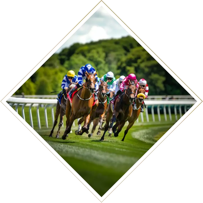 horse green racing