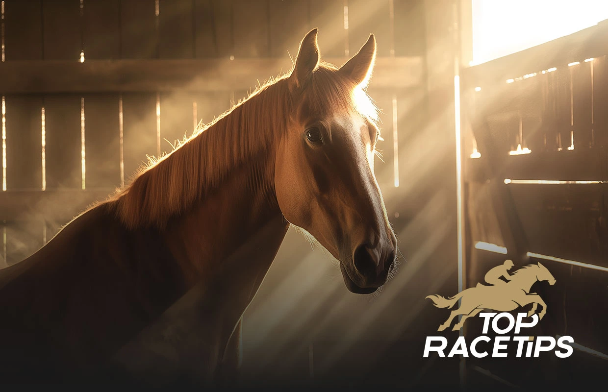 How Much Does a Racehorse Weigh?