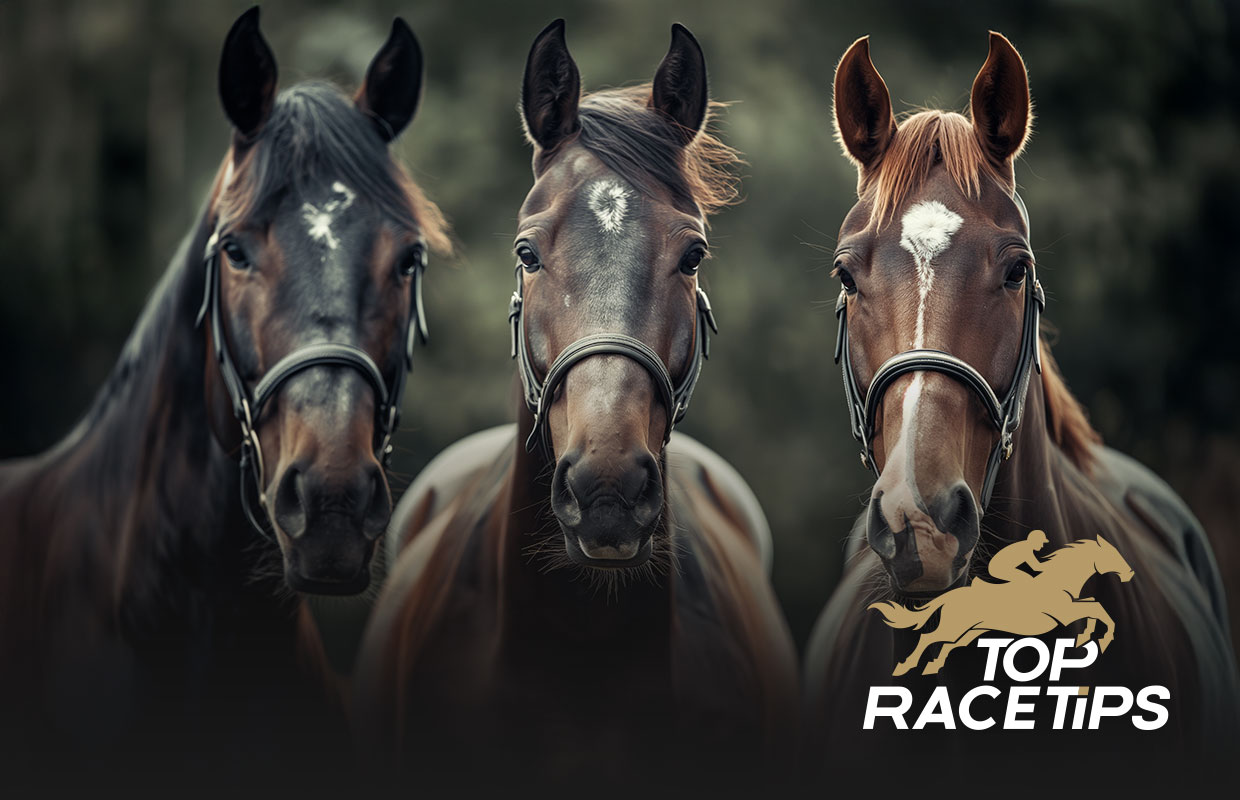 Which is the greatest race horse?