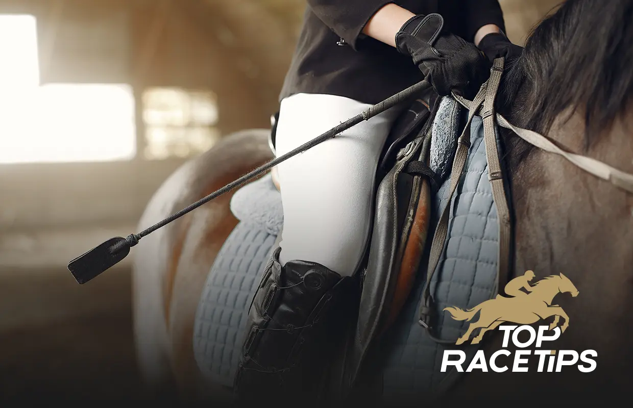 horse saddle