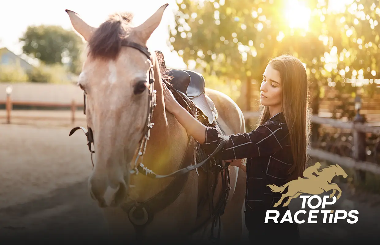 how tall is the average horse?