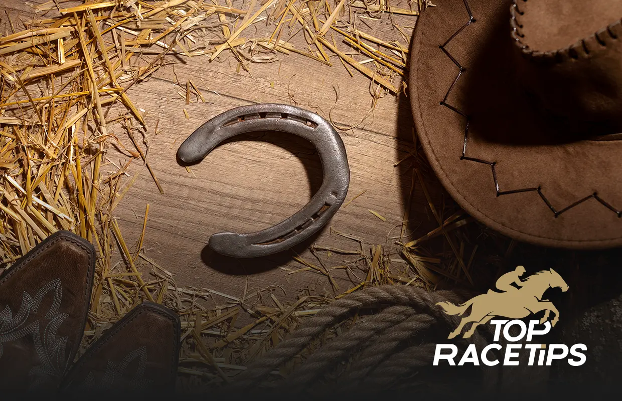 Why do horses need shoes?