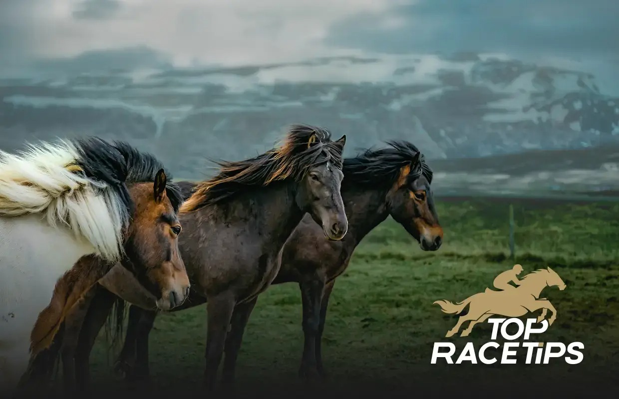 what are mustang horses known for?