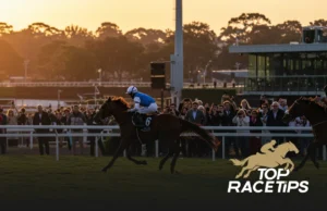 horse race terminology