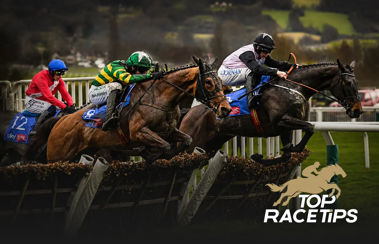 what is a novice hurdle?